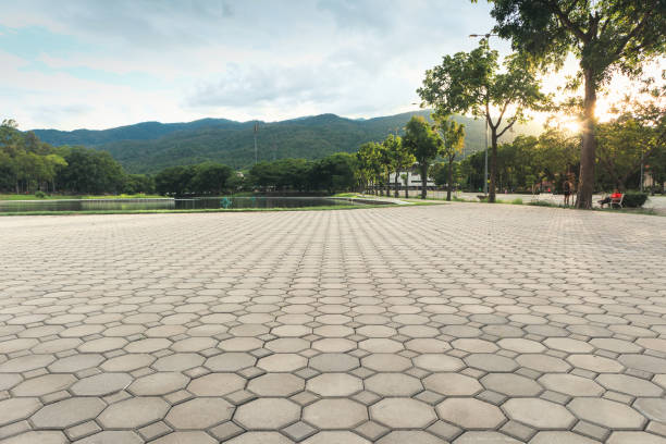 Best Local Driveway Pavers  in Schertz, TX