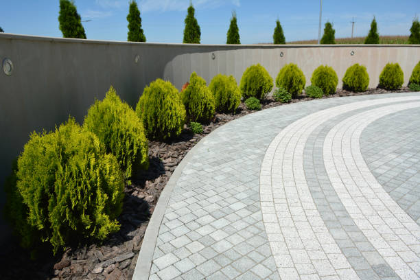 Commercial Driveway Pavers in Schertz, TX